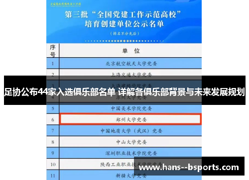 足协公布44家入选俱乐部名单 详解各俱乐部背景与未来发展规划 足协公布44家入选俱乐部名单 详解各俱乐部背景与未来发展规划